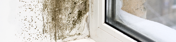 Window Seal With Dampness And Mold