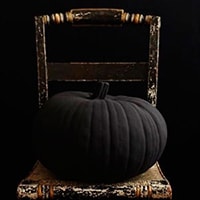 Black Pumpkin