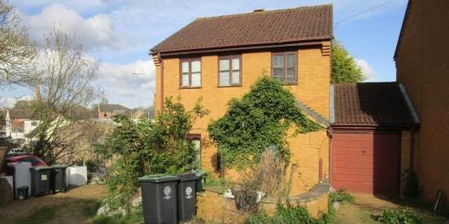 House with an overgrown garden