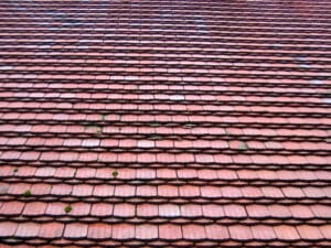 roof tiles