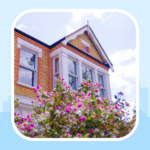 house flowers